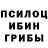 Псилоцибиновые грибы мухоморы WolfTrap