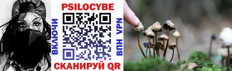 Псилоцибиновые грибы Psilocybine cubensis  как найти закладки  Сарапул 